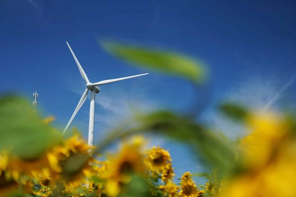 Comment fonctionne l'éolien et quel est son impact sur l'environnement ?