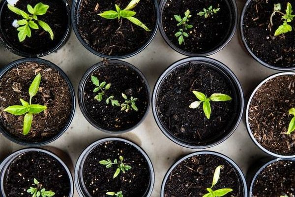 Qu'est-ce que la permaculture et quels sont ses principes ?