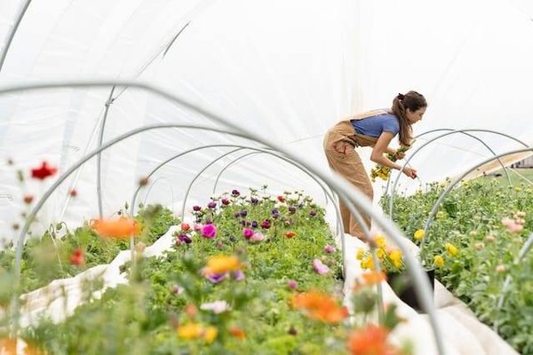 Comment réaliser un design en permaculture?