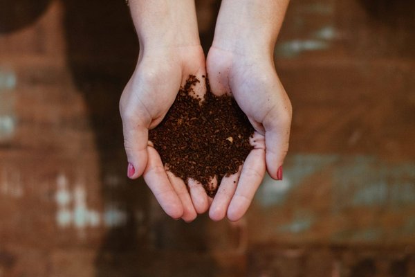 Comment fabriquer votre propre compost maison ?