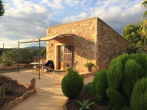 Décorer votre intérieur de façon durable et respectueuse de l'environnement