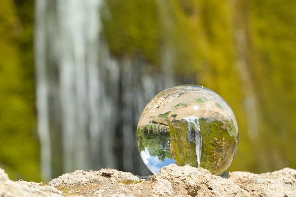 L'importance cruciale de la conservation de l'environnement